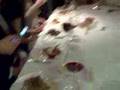 Applecam