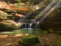 having to be willing is the saving grace.wmv