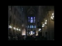 Jojo in Paris - Notre Dame Jojo in Paris - Notre Dame