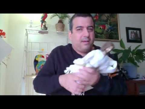 how to define judaism