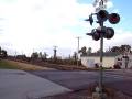 NS C40-9W 9371 Pulls a LONG Freight Train Through Tipton