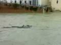 videos de isola tiberina lato trastevere.3gp