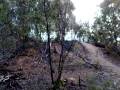 videos de Loz mbt trails 1