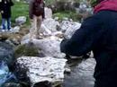 Altamurani nella gravina di Matera!!