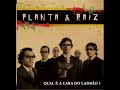 Planta e Raiz - Rol� Consciente
