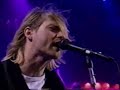 Nirvana - Breed