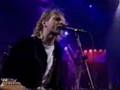 Nirvana - Breed