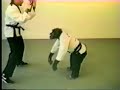 THE AMAZING (I take no bullshit from anyone) KUNG FU MONKEY!