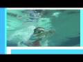 Swim Start - Learn to Swim. Online swimming lessons for babies, infants, toddlers and children.