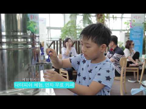 2017 무안연꽃축제