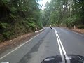 Skenes Creek Rd pt2