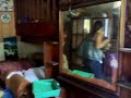 BAHAY NI LOLA 2