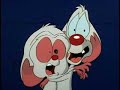 Pinky and the Brain