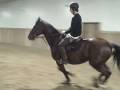 videos de Dec 17 2008 - Oakley and Kristoff schooling over fences in montreal