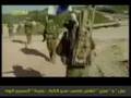 الضمير العربي نانسي عجرم والشاب خالد