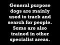 K9 Tribute