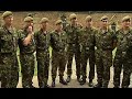 Skalar - Autoriteter!