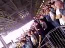 tottenham-vs-fulham-fa-cup-40-2.html