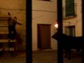 videos de toros en novaliches