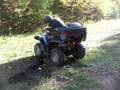 Grizzly taking on a small ditch,