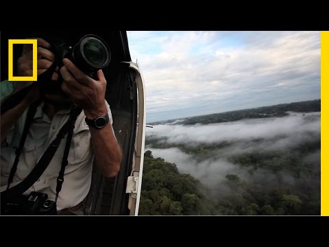 yasuni - Ecuador's Yasuní Park is one of the Amazon's last wild frontiers, boasting an incredible biodiversity—treetop orchids, prowling jaguars, nearly 600 species o...