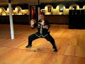 Tiger Stances - Kung Fu Basics - Austin