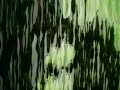 Vermeer: plastic bags Animation