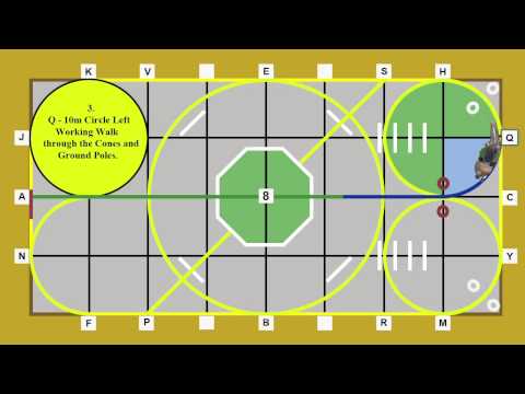 horses grand national horses grand national