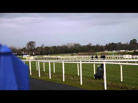 horse racing cheltenham