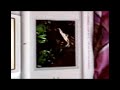 V�deo Tomb Raider Anniversary Trailer on DS