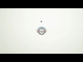 Wisin Y Yandel - New FLIP MINOHD VIDEO CAMERA.flv