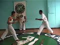 Capoeria Beginners