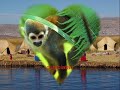 LA TIERRA DE MIS AMORES LOS BETA 5 PERU
