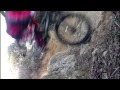 OneGhostIndustries Ride - 