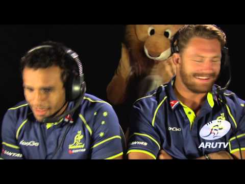 Living with a Lion - 2013 Lions Tour