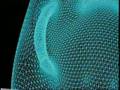 3D Printed Shoes - Beyond Tomorrow (Siavash Mahdavi)