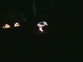 Fantasy in Lighgts, Callaway Gardens GA.