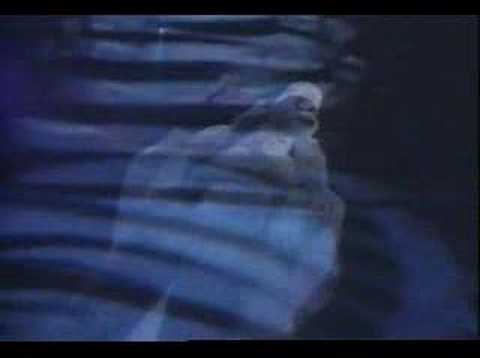 Pet Shop Boys - Liberation Live
