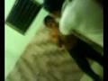 un hombre poseido x el alcohol