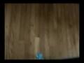 Reverse Motion 2