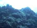 Guarda video