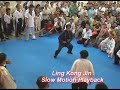 gm ling kong jin demo   slow motion 