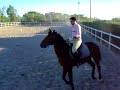 doma caballo doma caballo