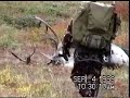 huge-bull-moose-in-rut.html