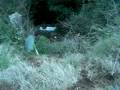 videos de Accidente FT 4x4