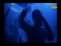 Aftermovie: Techno4Ever Community Party 31.05.2009, Discoplex A5 Karlsdorf (Germany)