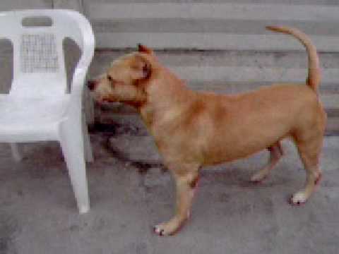Il video di King
