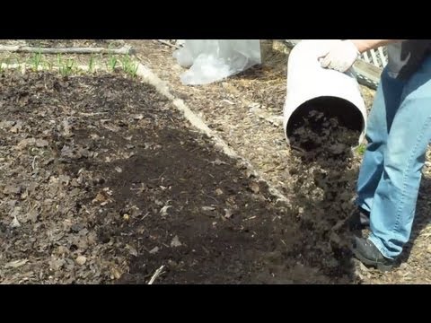 how to harvest earthworm castings