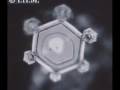 Water, Consciousness & Intent: Dr. Masaru Emoto Water, Consciousness & Intent: Dr. Masaru Emoto