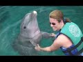 dolphin adventure